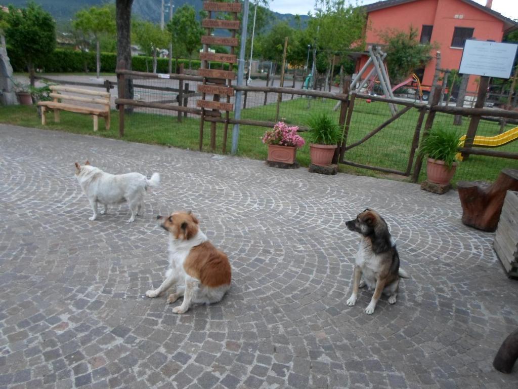 Azienda Agrituristica Pericle Montella Dış mekan fotoğraf