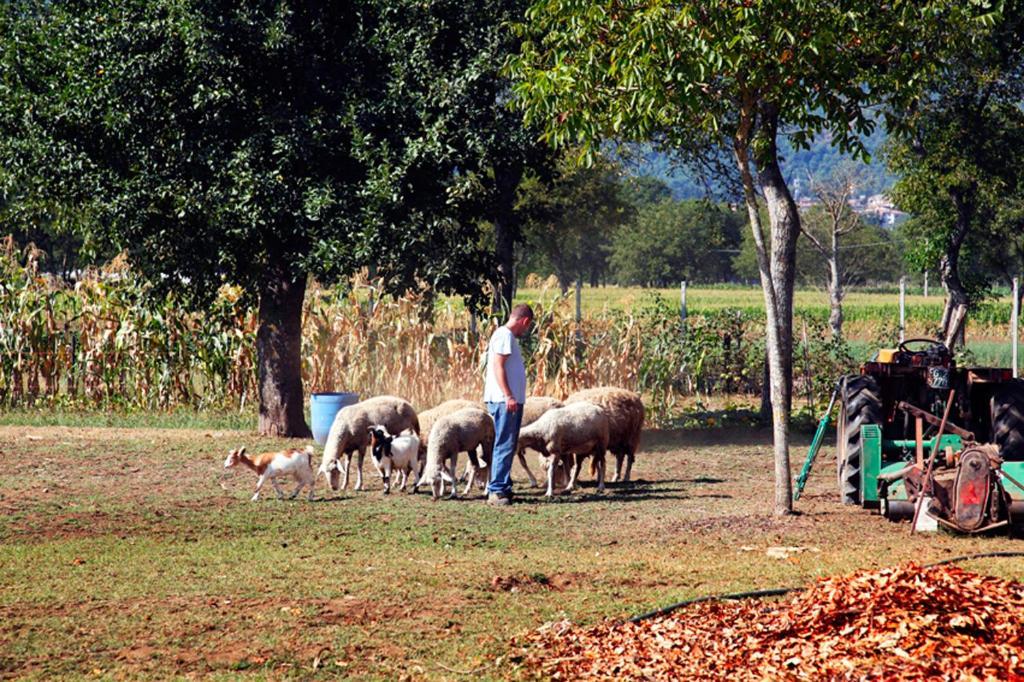 Azienda Agrituristica Pericle Montella Dış mekan fotoğraf