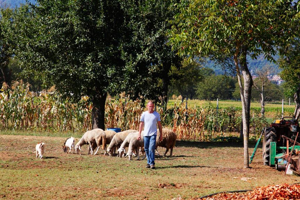 Azienda Agrituristica Pericle Montella Dış mekan fotoğraf